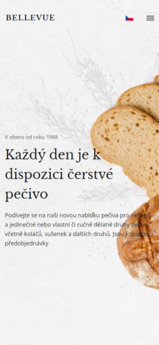 Náhľad v mobile Bellevue